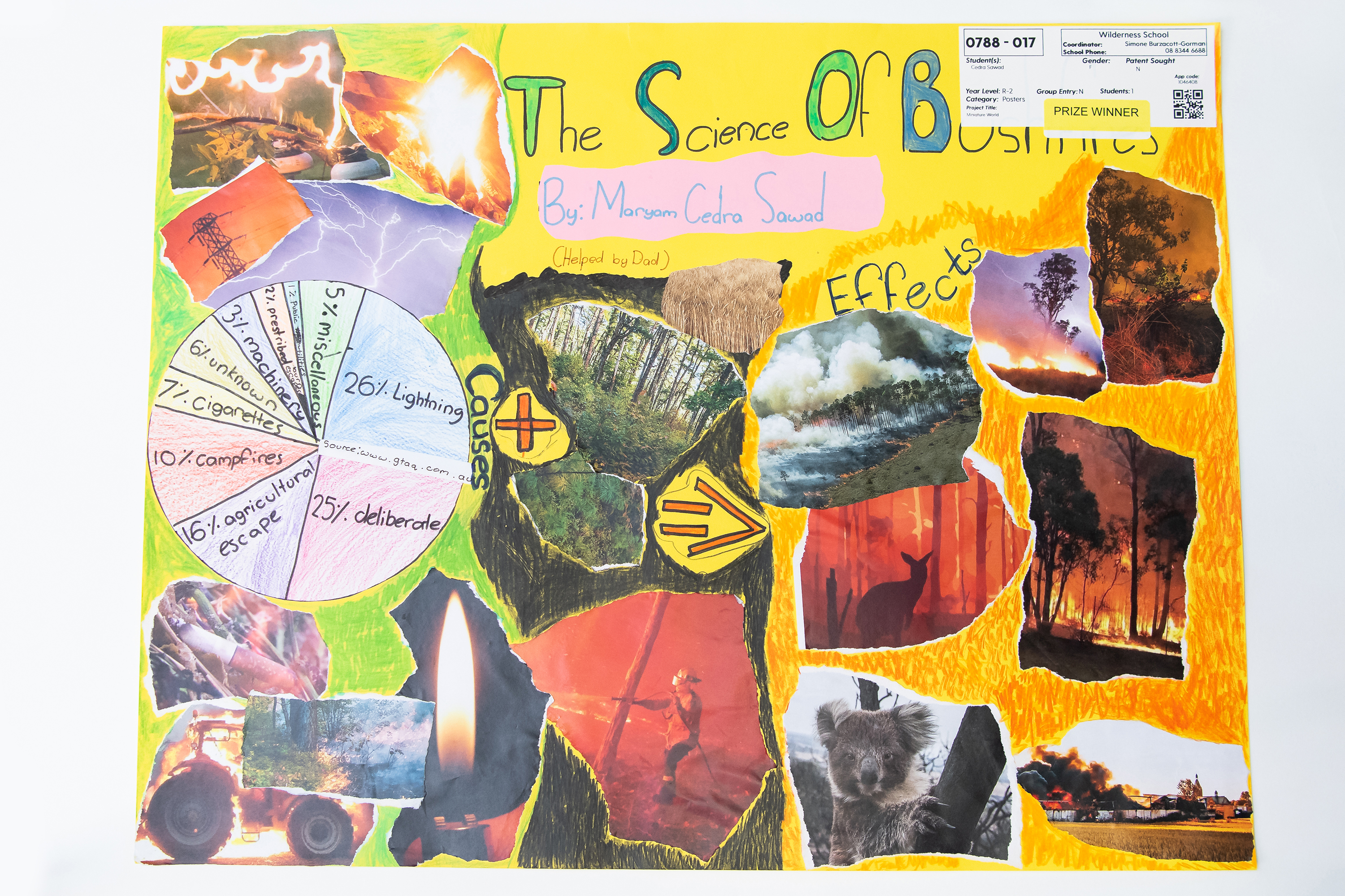 (POSTER) 788 017 Sawad