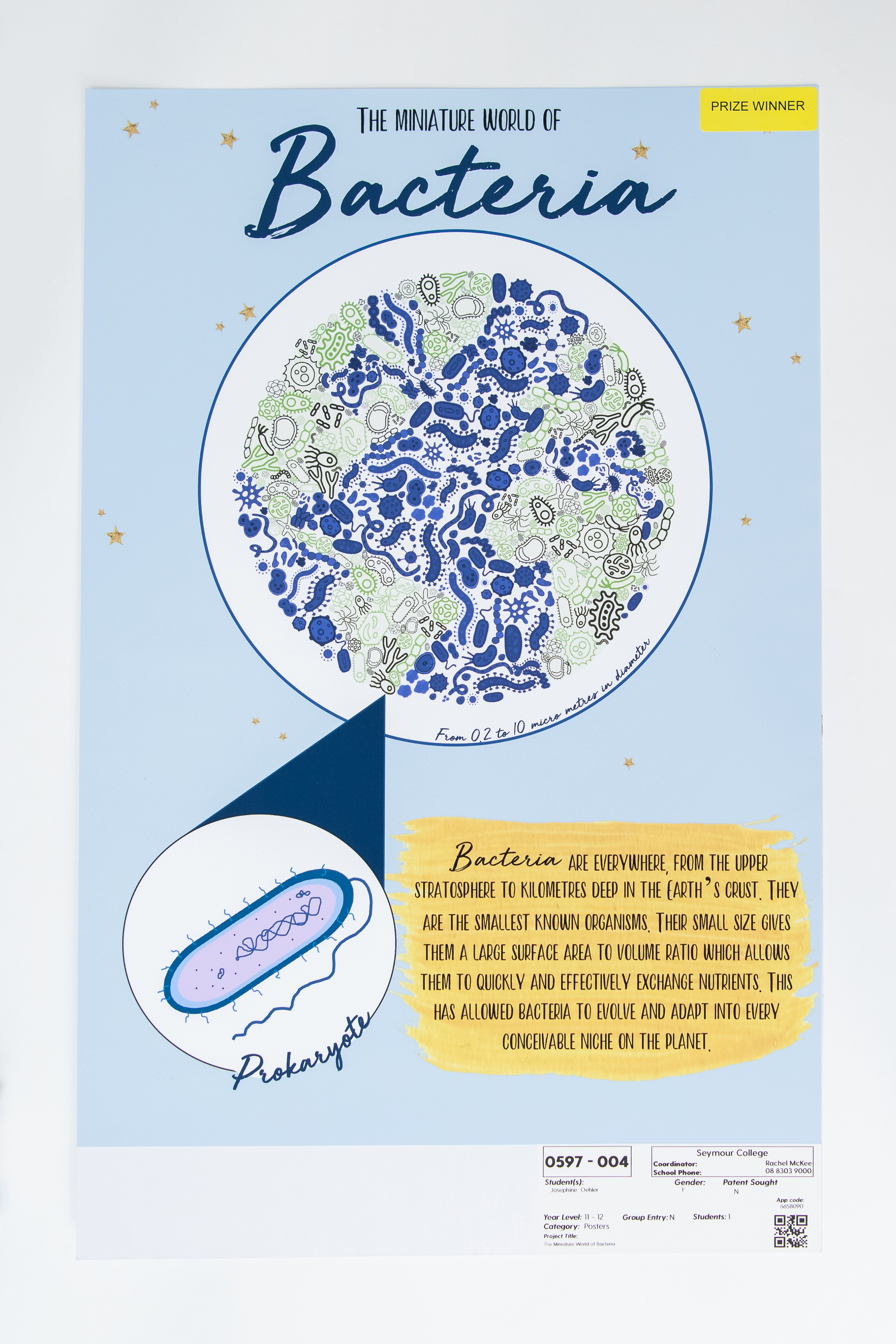 (POSTER) 597 004 Oehler
