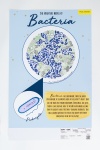 (POSTER) 597 004 Oehler