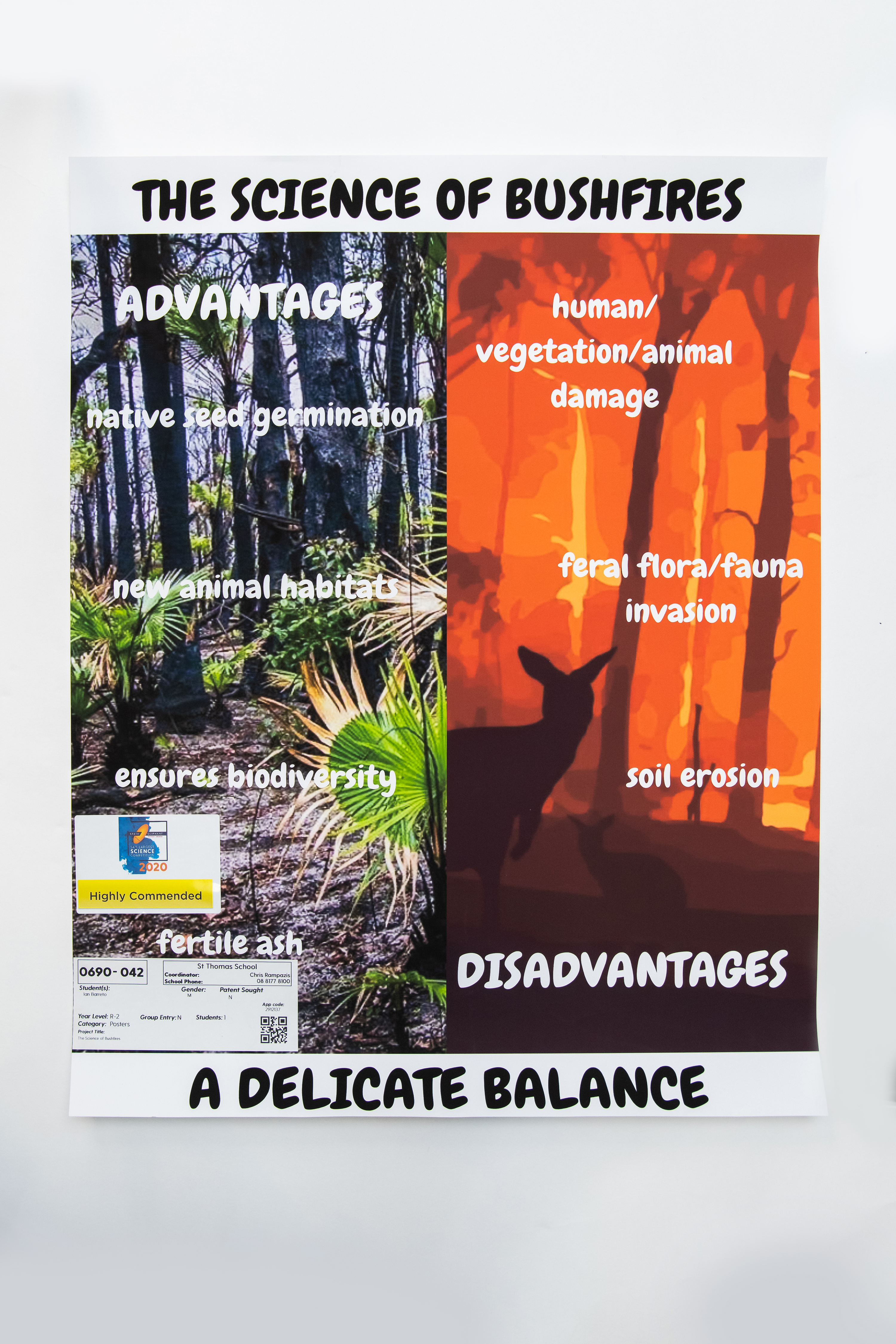 (POSTER) 690 042 Barreto