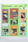 (POSTER) 018 030 Khodadin