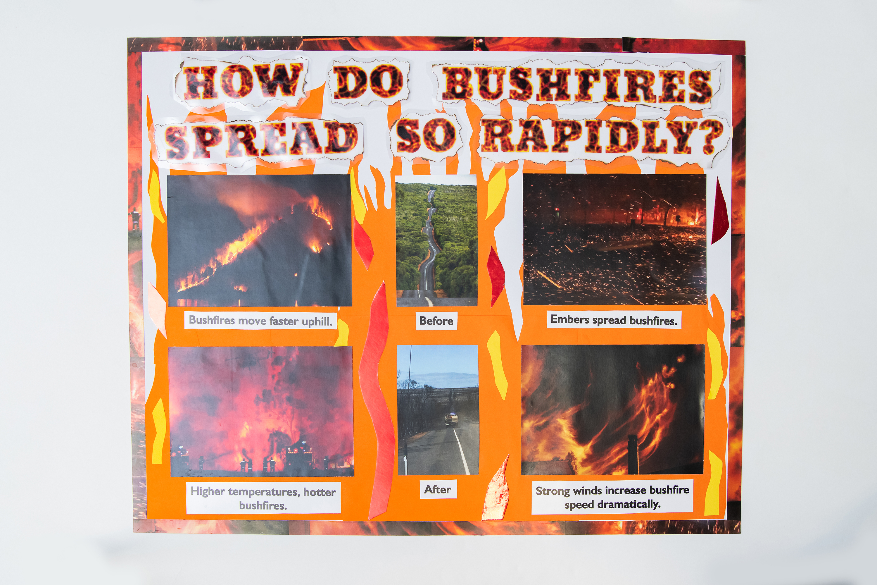 (POSTER) 690 004 Humphry