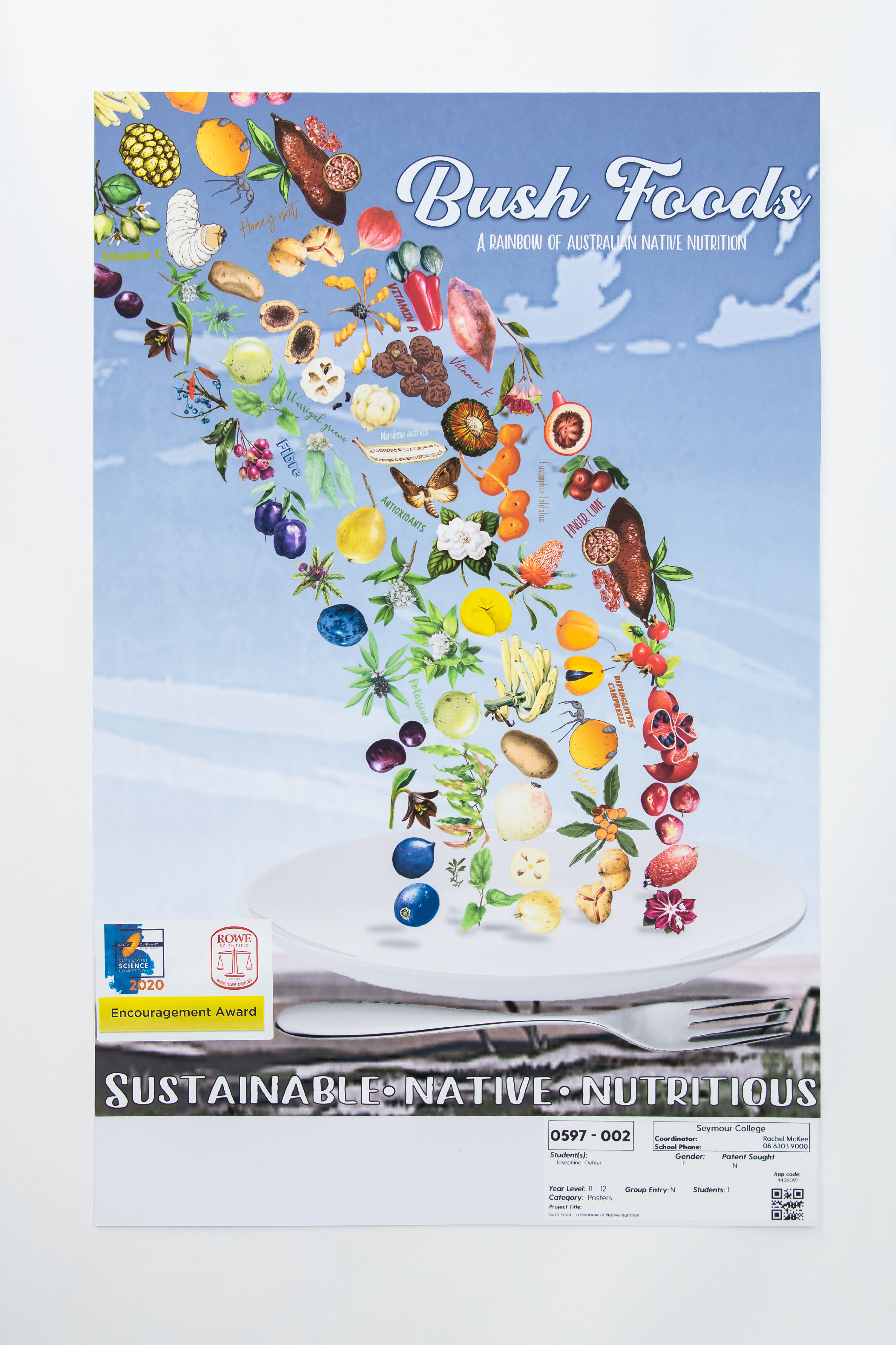 (POSTER)597 002 Oehler