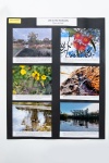 (PHOTO) 206 008 Dissanayake
