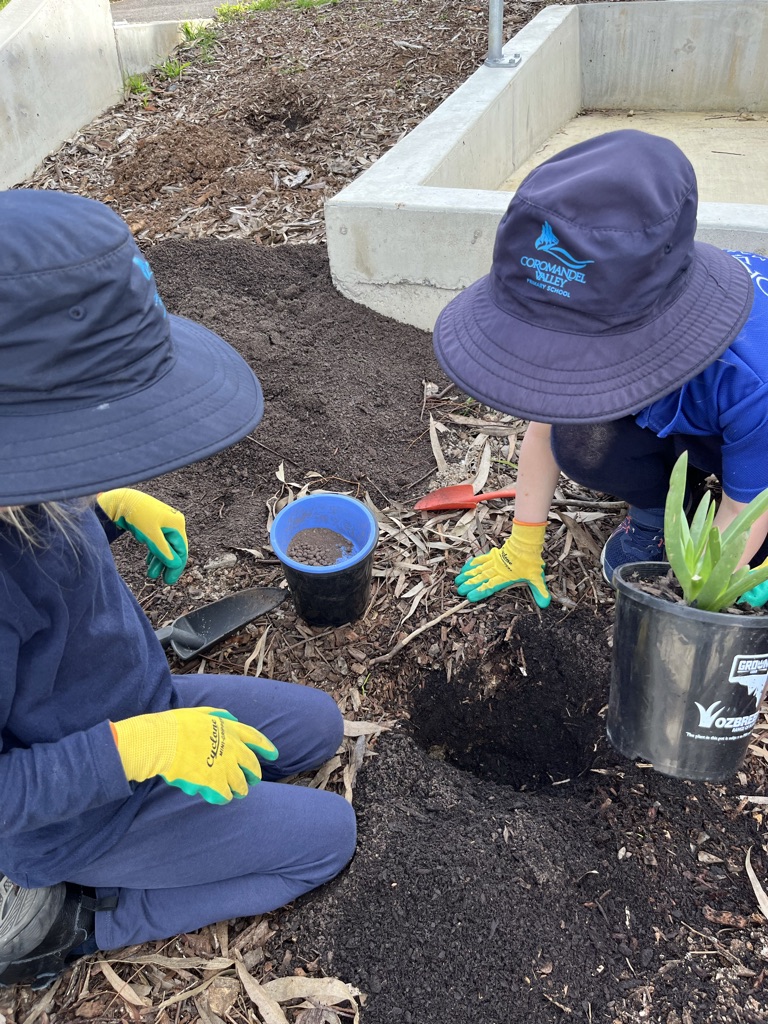 Nurturing Nature Coromandel Valley's Science Week in Action South