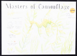 Posters 5 6 Huang