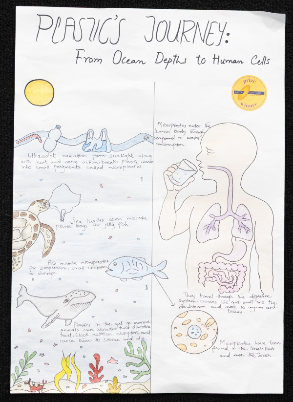 Posters 11 12 Rezaie