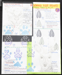 Posters 5 6 Maddumage