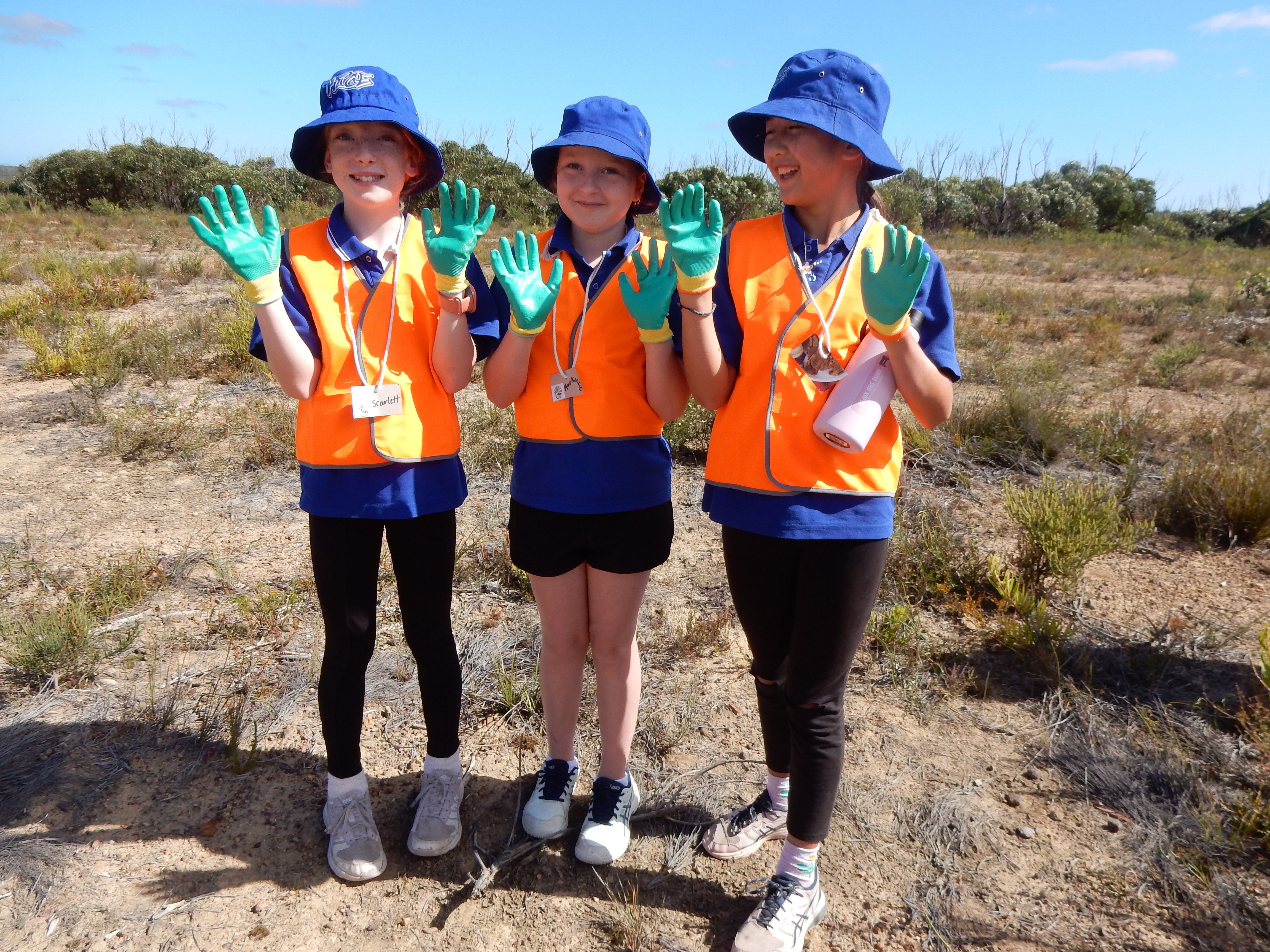 Our Changing Planet: Empowering Students to Engage with Environmental ...