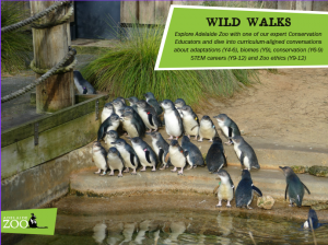 Wild Walks