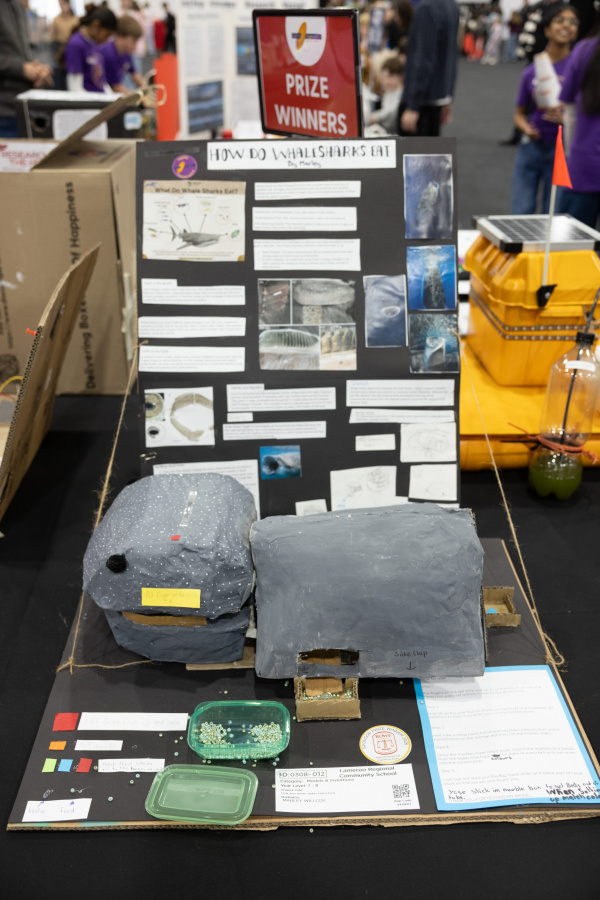 0R9A2764 sml